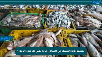 تفسير رؤية السمك في المنام.. ماذا تعني لك هذه الرموز؟